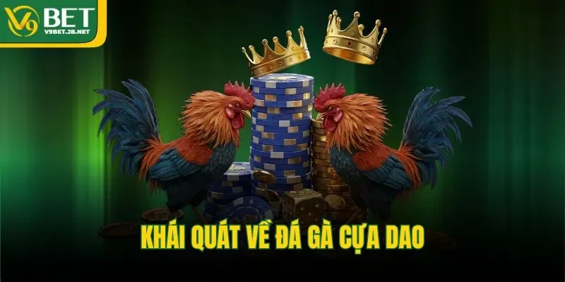 Khái quát về đá gà cựa dao
