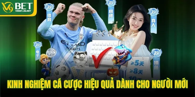 Kinh nghiệm cá cược hiệu quả dành cho người mới