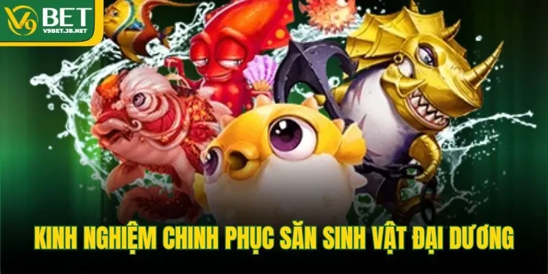 Kinh nghiệm chinh phục săn sinh vật đại dương