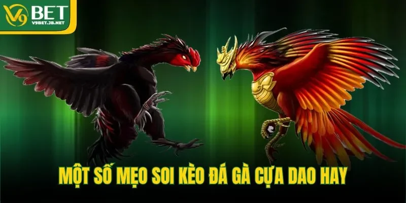 Một số mẹo soi kèo đá gà cựa dao hay