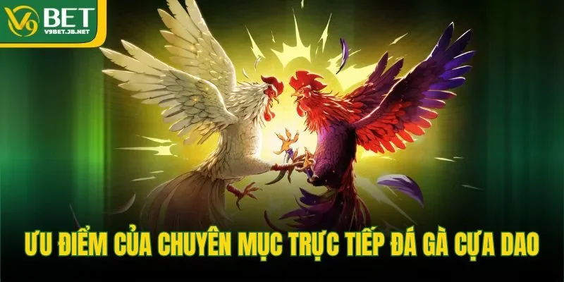 Ưu điểm của chuyên mục trực tiếp đá gà cựa dao