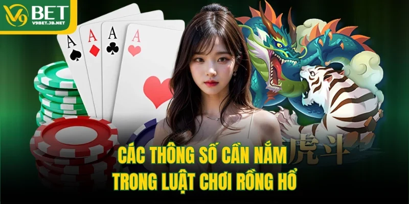 Các thông số cần nắm trong luật chơi Rồng Hổ 