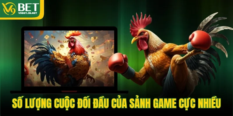 Số lượng cuộc đối đầu của sảnh game cực nhiều